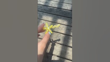 Kẹp tóc sao biển cho mùa hè #blackpink #accessories #flowers #hairstyle