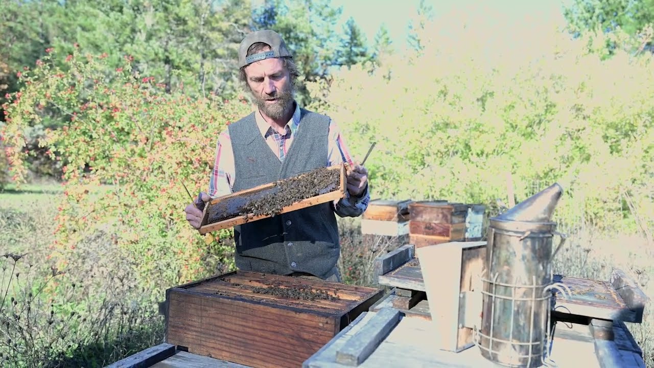 What is Natural Nest beekeeping?