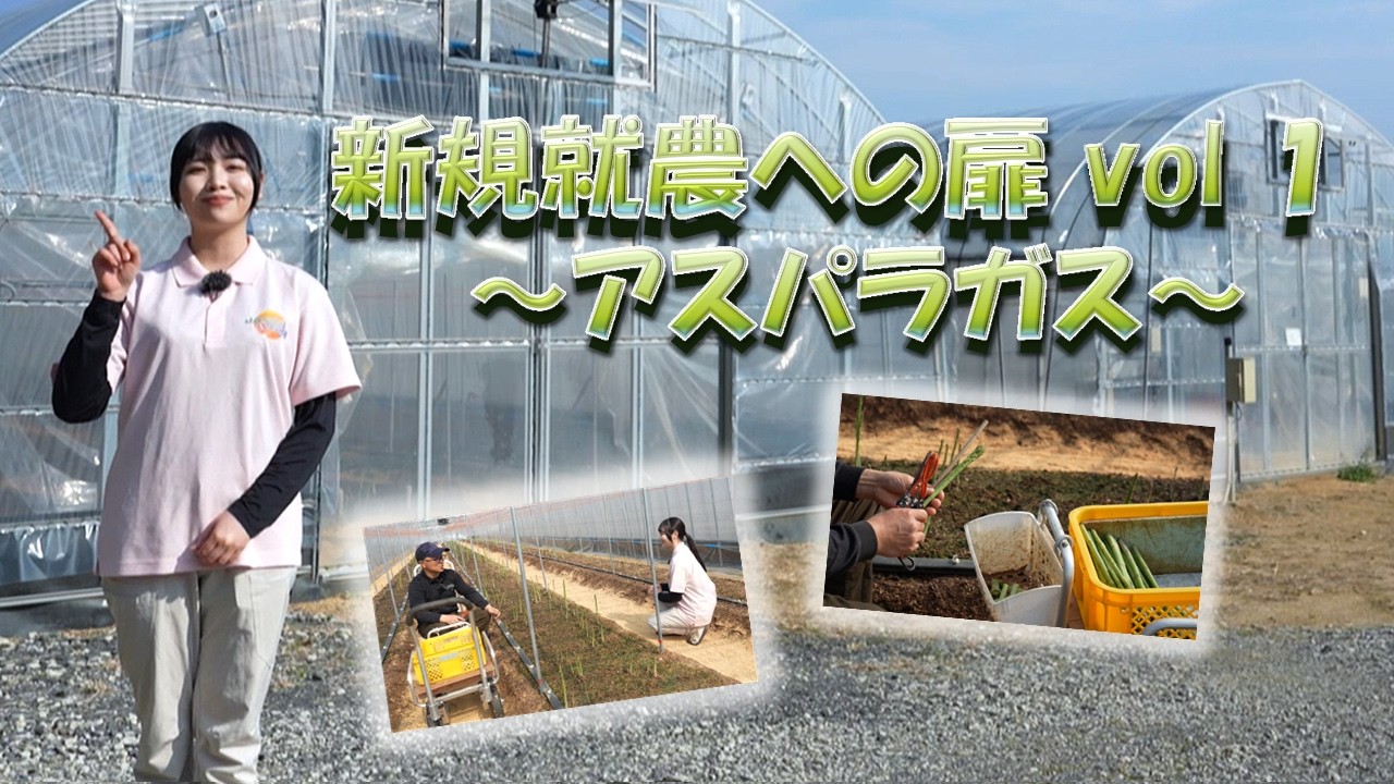 第３４６回ＪＡからつの特ダネ情報『新規就農への扉 vol １ アスパラガス』