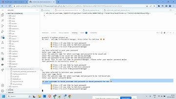 CS50P final project Password Manager