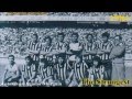 The Strongest - tigre te quiero