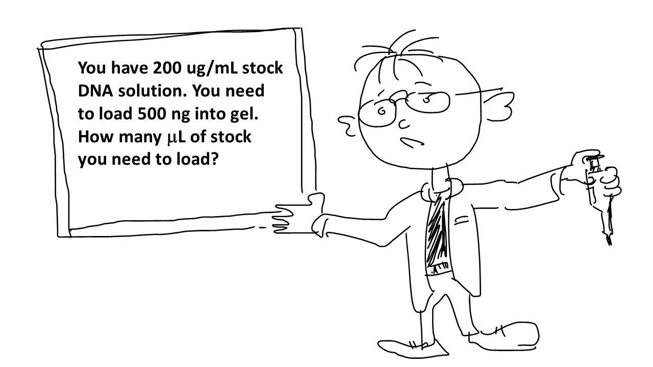 Calculations Weight-Concentration-Volume @ Bio Lab 3 - Bennett Univ Bioanalytical Techniques Course