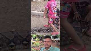Kids Playing on a Giant Python 😱 | Shocking & Dangerous Wildlife Moment! #Python #SnakeVideo