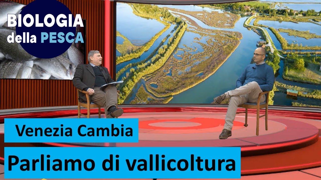 La vallicoltura veneta