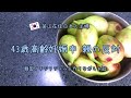 【韓国で高齢妊娠中】43歳高齢妊娠で初産の経過と現実。親の反対【韓国在住・日韓夫婦・한일부부】