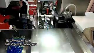 Fully Automatic Wire Cutting Stripping Single Head Waterproof Plug Inserting Crimping Machine