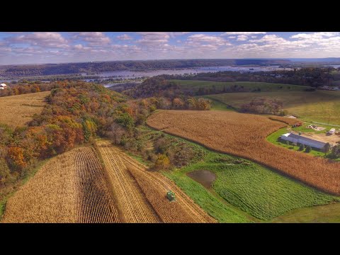 Harvesting Corn on the Bluffs in Northeast Iowa