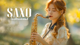 Romantic Saxophone Instrumental Love Songs  Beautiful Melodies Saxophone 70s 80s 90s For Your Heart