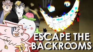 【ドラゴンＶ】"何か"がいる、この中に。【Escape the Backrooms】pt.2