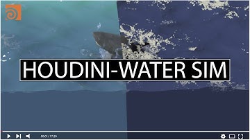 Houdini Water Simulation