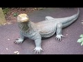 Zoo Miami Day 2018