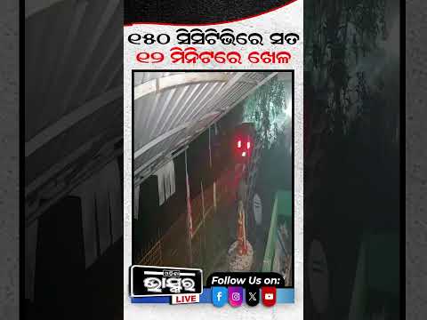 12 ମିନିଟର ଖେଳ ଖୋଲିବ ରହସ୍ୟ #bhaskarnews  #Orangutans #wildlife #latestnews