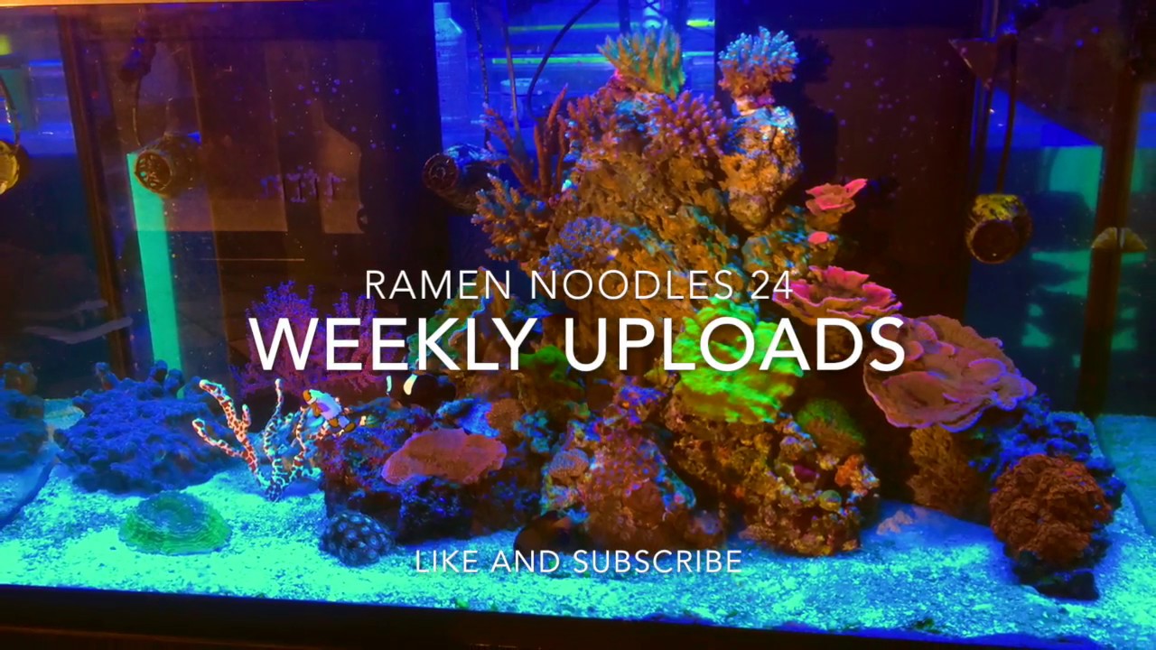 a visit to boston massachusets|staying at the 