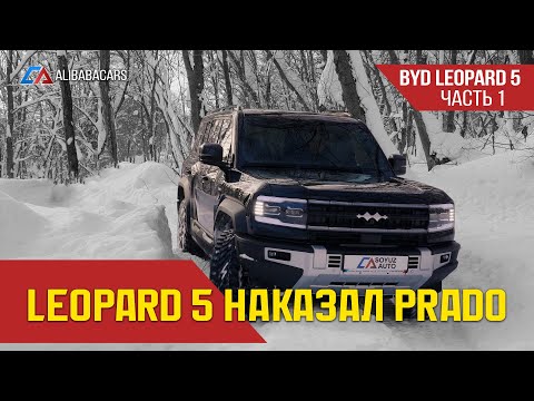 видео: РАМНЫЙ BYD Обзор LEOPARD 5 Часть 1 #авто #тестдрайв #леопард