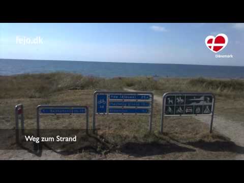 Spids Nøgenhat - Lolland Falster Spids Nøgenhat - Lolland Falster
