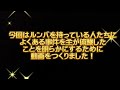 ルンバ事件