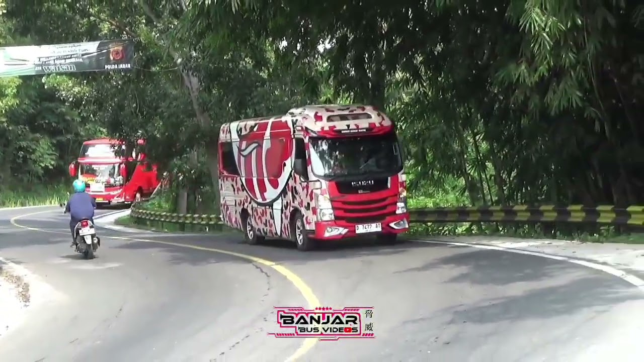 pesona elf koi bandung