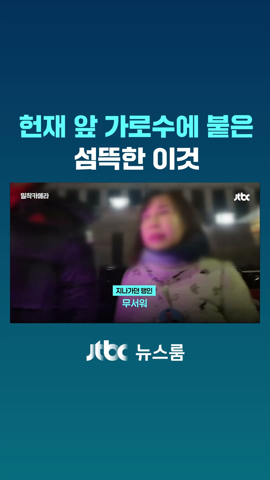 헌재 앞 가로수에 붙은 섬뜩한 이것 #JTBC #Shorts