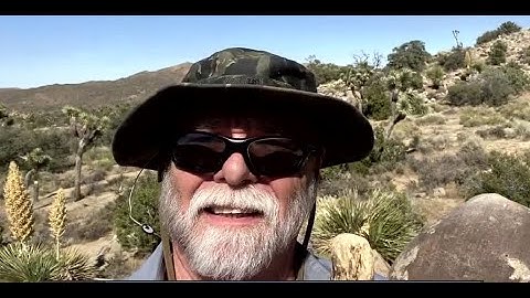 Hiker injured and lost in Joshua Tree