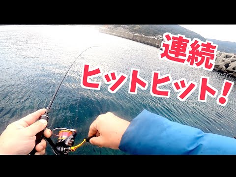 よく釣れるワームでデイアジングしてみたので参考にどうぞ