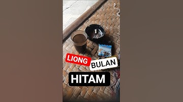 LIONG BULAN #viralvideo #shortvideo #trending #trendingshorts #wisata  #kopi #cianjurselatan