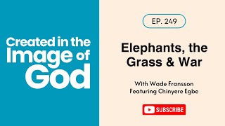 Elephants, the Grass & the Teacher with Chinyere Egbe | Created In The Image of God 249