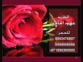 بحر الهوى _دويتو مع الفنانه عهود الجابري بدون موسيقي