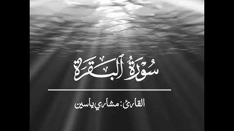 #مشاري_ياسين 🥀تلاوة خاشعة🍂تلاوة هادئة ومريحة🍁#قران_كريم💖#راحة_نفسية💚
