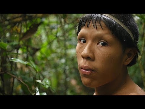  Les Paradis Perdus d' Amazonie