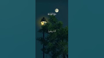 تلاوة هادئة 🌿 سورة التوبة🌿 القارئ اسلام صبحي 🌿 #قرآن