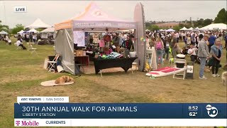 Annual Walk for Animals to support overflowing shelters