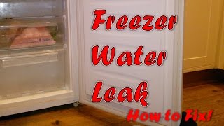 Freezer Water Leak Complete Solution