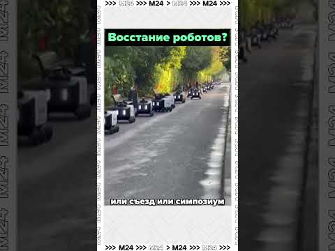 Москвичи сообщают о пробках на дорожках в Парке Горького! Там заметили целую колонну роботов