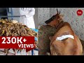 52 kg of plastic removed from cow's stomach in TN, surgery lasted for over 5 hours
