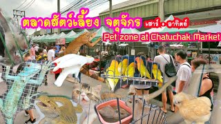 โซนขายสัตว์เลี้ยงหลายชนิด ตลาดจตุจักร เสาร์-อาทิตย์. Pet zone at Chatuchak Market.