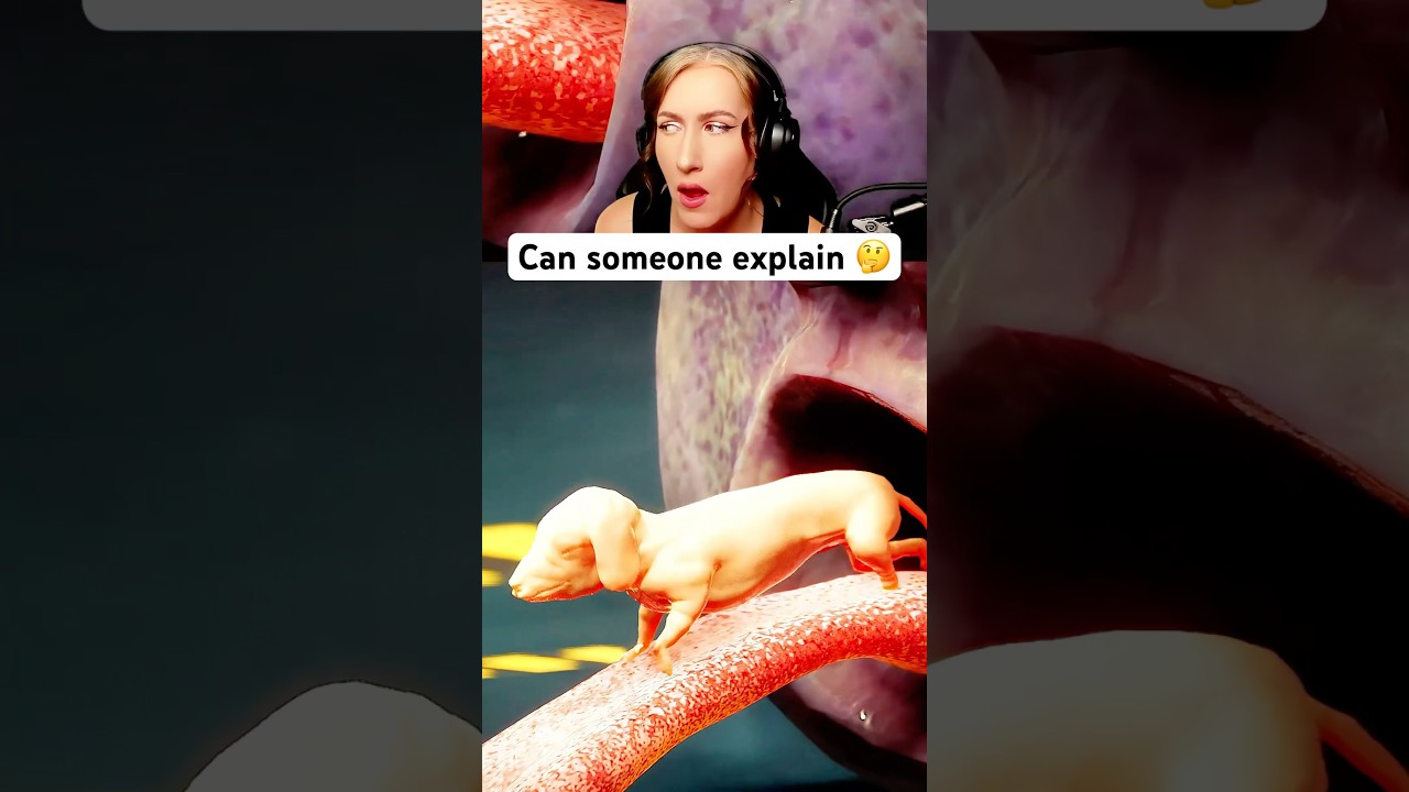 Slot Waste was a fever dream 🤔 