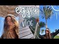 Приехали в Египет зимой 🐫 || vlog || royal albatros moderna 5* ⛰