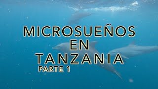 🐬 ¡NADANDO con DELFINES en ZANZÍBAR! | Microsueños en Tanzania 🇹🇿 # 1 (Subtitulado)