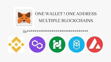 How to use one wallet address in multiple blockchains?