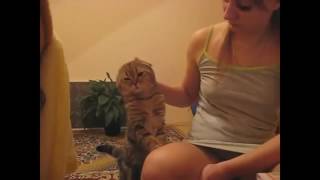 Как иностранцы слышат русскую речь