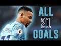 Gabriel Jesus - All 21 Goals 2018/19 | HD