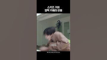 멤버별 반응들이 너무 웃김ㅋㅋ