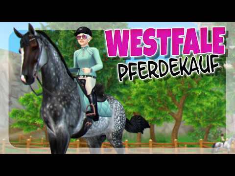 I BOUGHT THE BEAUTIFUL NEW WESTPHALIAN 🐴 | StarStable [SSO]