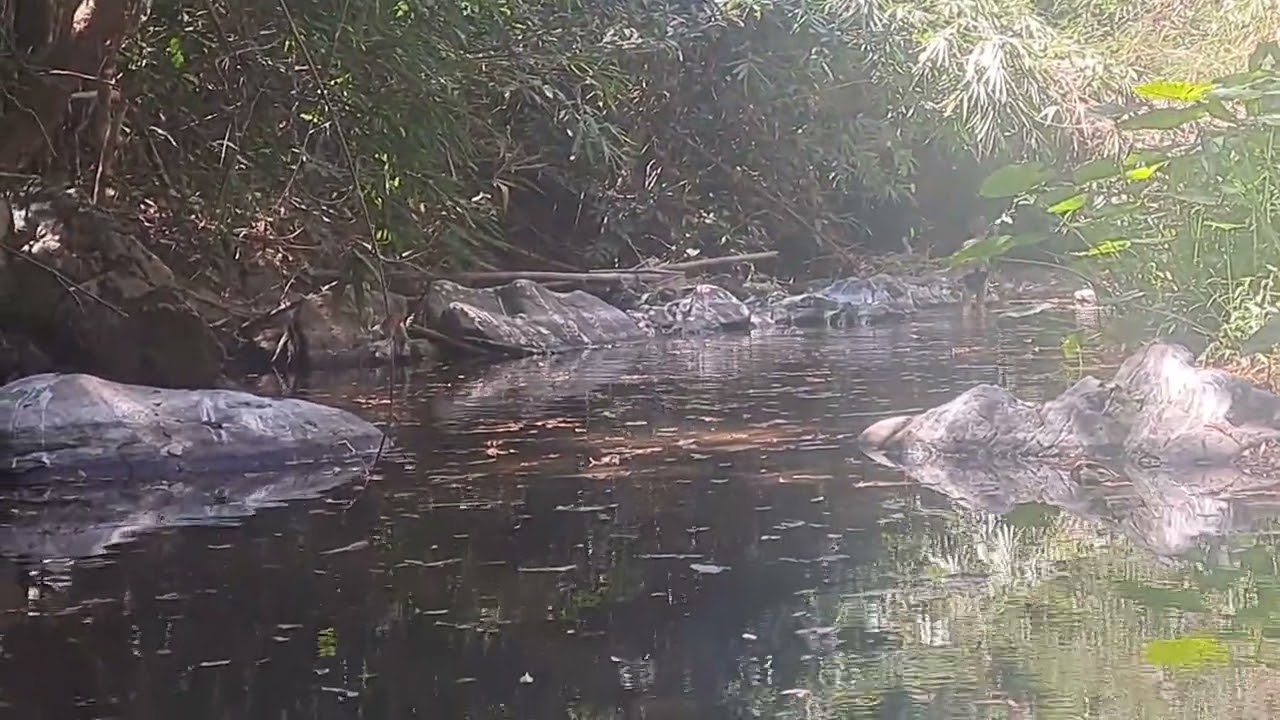 มาหาปลาที่ห้วยอาถรรพ์ เจอเด็กมนุษย์ป่ามาแย่งปลา