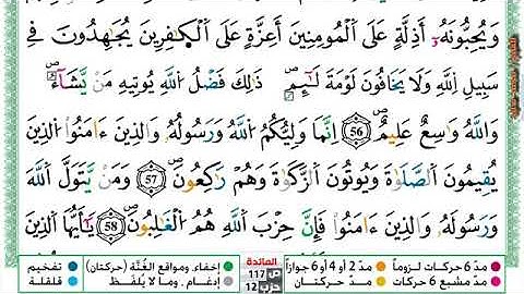 (مكررة) حفظ سورة المائدة(27) للقارئ الشيخ محمد سايد