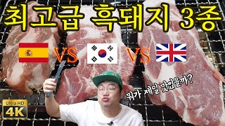 Korean vs British vs Spanish pork review. (Korean food mukbang review) [ENG Sub]