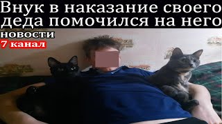 Внук помочился на своего дедушку в наказание за митинги.