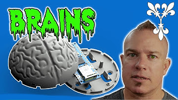 This Brain-Shaped Arduino Nano Case Will Leave You Speechless! 2025
