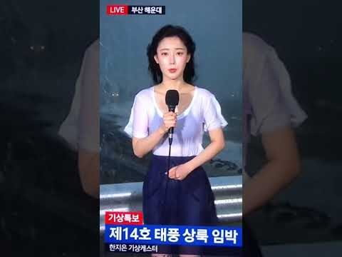태풍이 상륙했는데 혼자 남아서 보도하는 이유 #태풍 #뉴스현장 #생중계