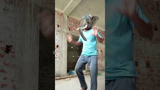 kurchi madathapetti funny elephant🐘 dance🕺#shorts #ytshorts #shortvideos #elephant #elephantdance
